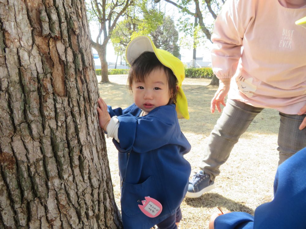 ウサギ組さん　公園デビュー

木につかまって、たっち出来たよ♪