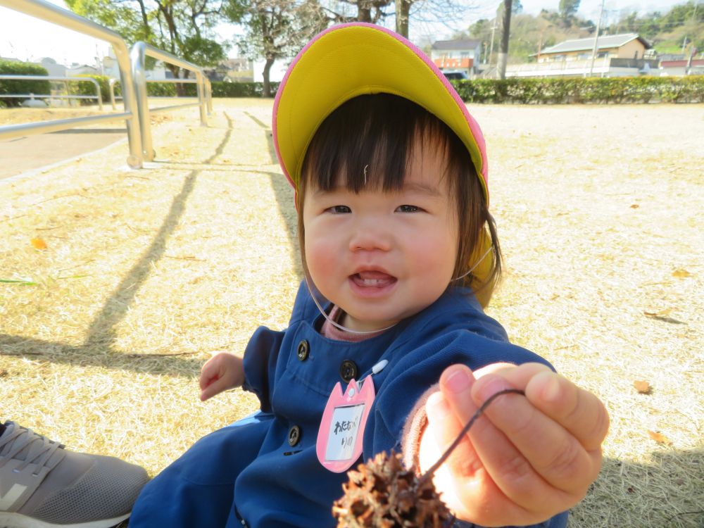 木の実、みつけたよ♪