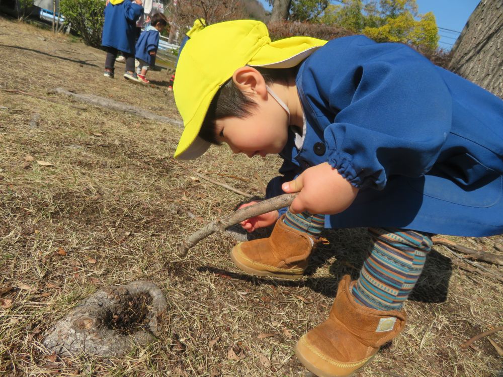 「ここにも、穴が！！」