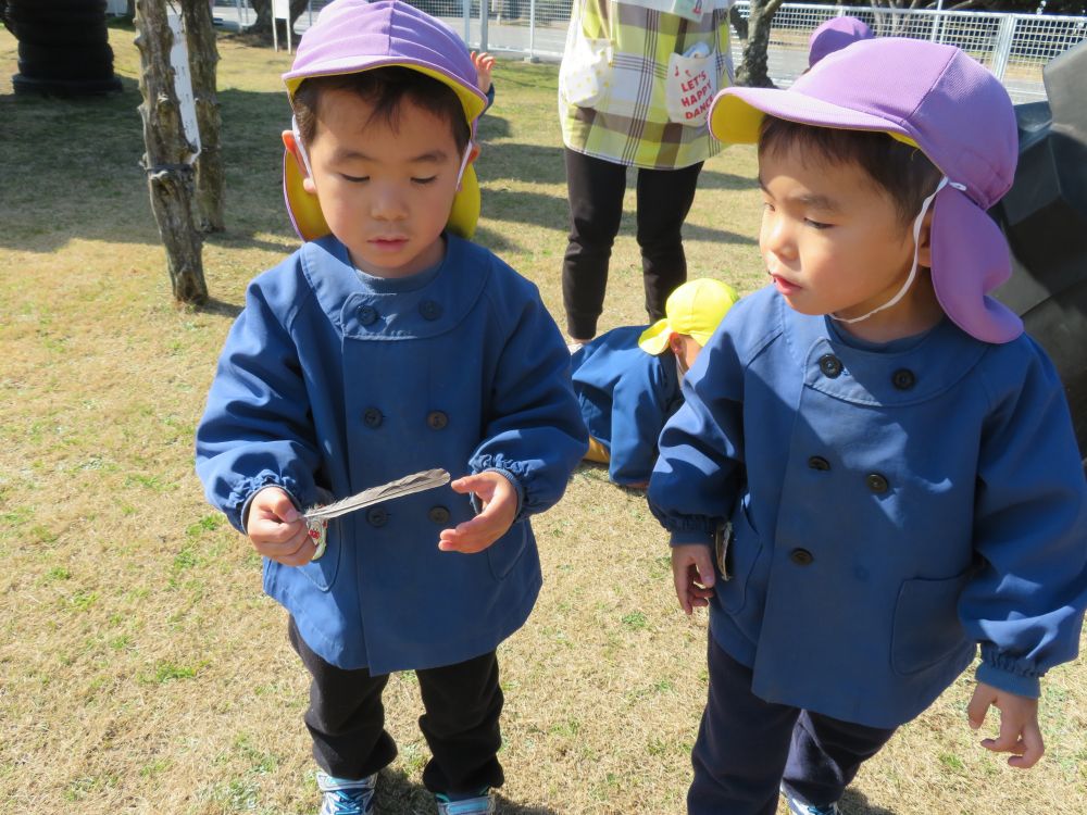 「あっ！鳥の羽根！！」