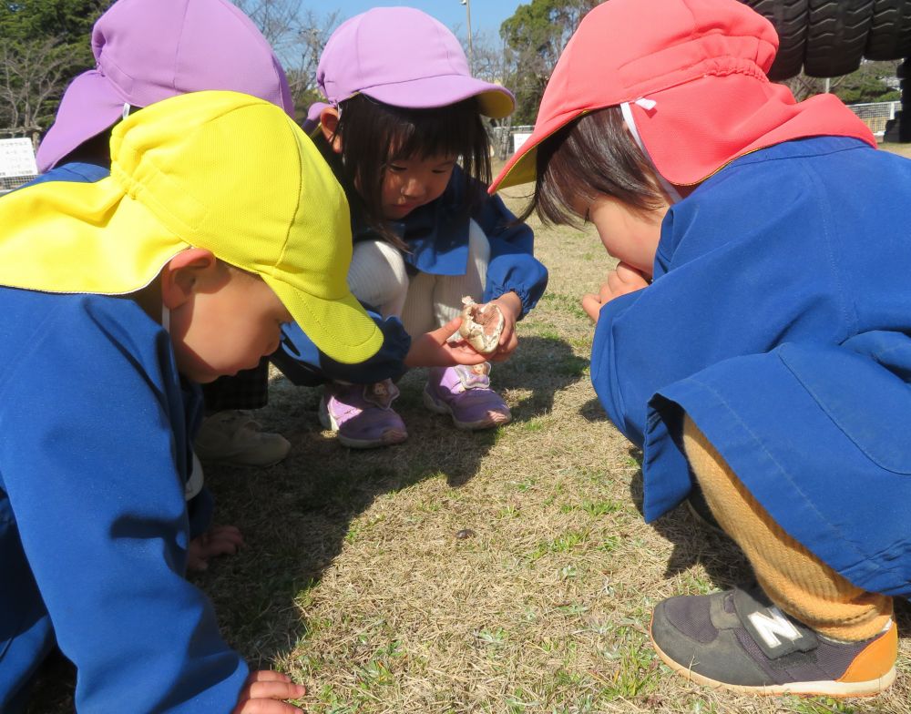 「あっ！むし！！」
　「だんごむしかなぁ？丸めてみよう。
　　　・・・丸まらない。わらじむしかな。」