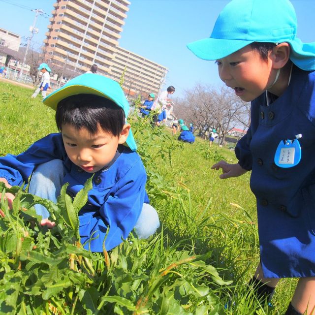 ＊　４・５歳児　散歩  その②　＊