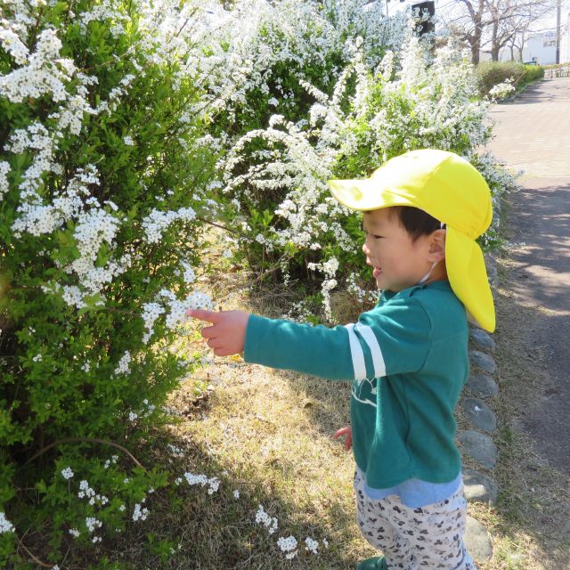 ＊　１歳児　おさんぽ②　＊