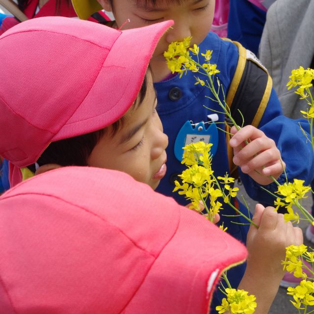 ＊　４・５歳児　春をみつけよう！②　＊