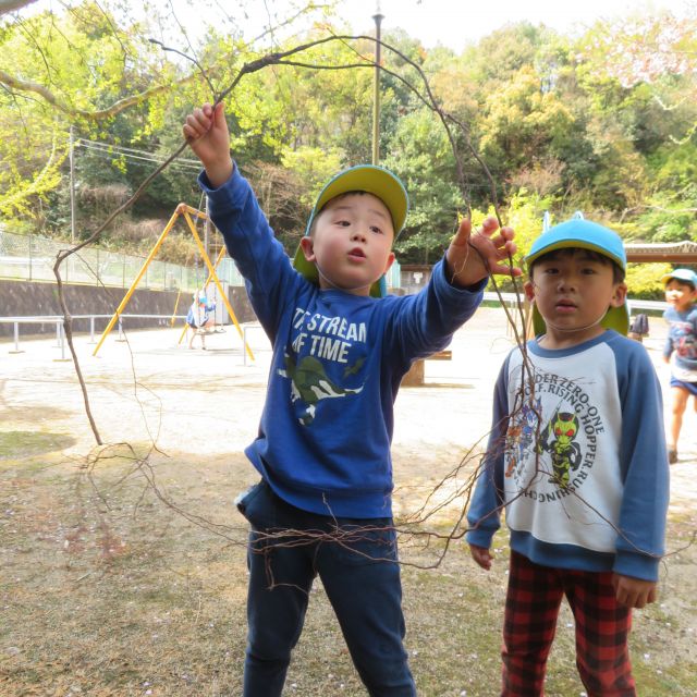 もんだいです！　＊5歳児＊