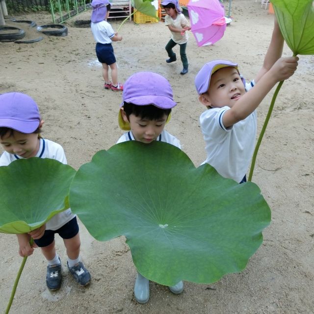 かさ　～3歳児～