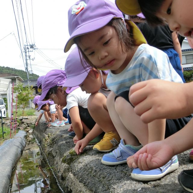 おたまじゃくし　～3歳児～