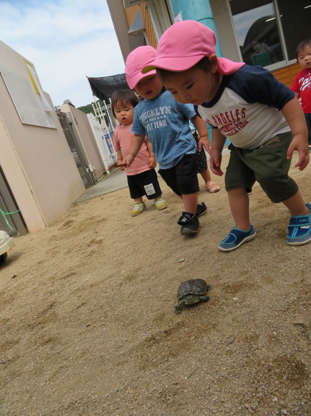 「まてまて～～」

かめと子どもたちのふれあいあそびタイム。
見ているだけでほのぼの～

また、あそぼうね～。