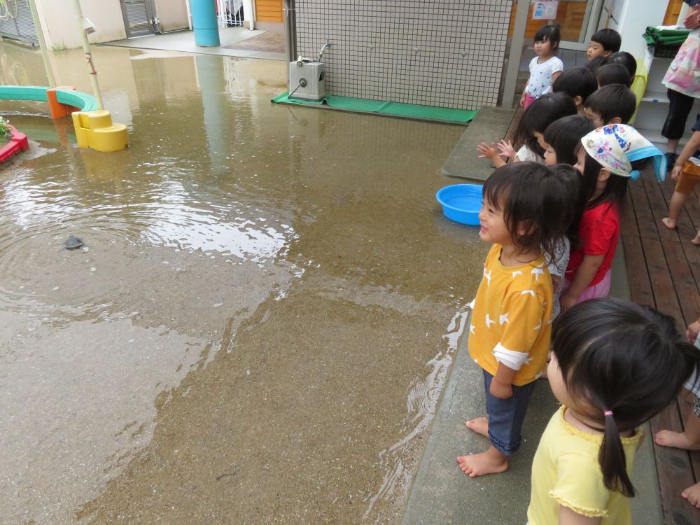 「かめきち～！！どこいくの～！」

こどもたちがテラスから呼びかけます。
子どもたちは今にも飛び込みたい気持ち！
『いいな～かめきち・・・』


