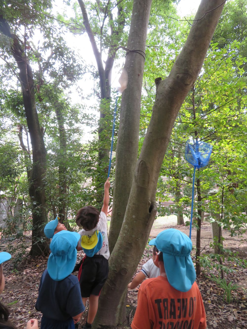 ミ~ンミンミン・・・
「せんせ~!セミのこえ!!」
ミ~ンミンミン・・・
ほんとだ!!
早速、探しに隣の神社へおじゃましました。
「いた!!!」
見つけたのは、セミの抜け殻