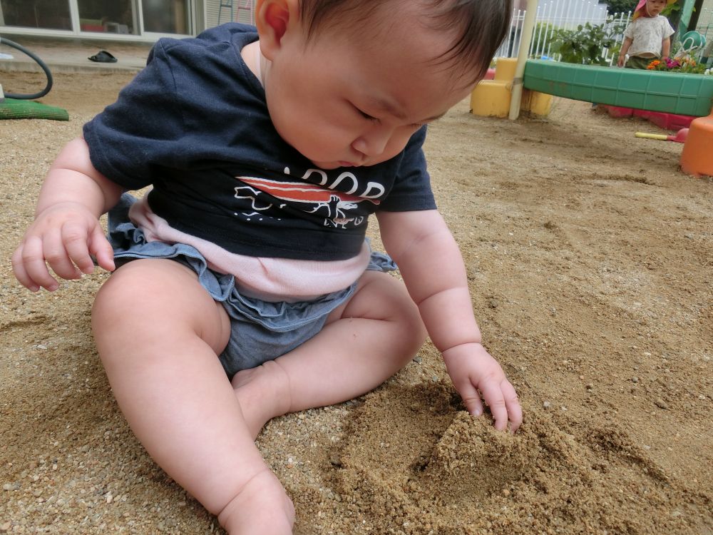 ウサギぐみさんで一番小さいHちゃんも、砂の感触に興味津々・・・
手を伸ばして握ったり離したり・・・

不思議そうな顔をしながら、しばらく感触を楽しんでいました。
