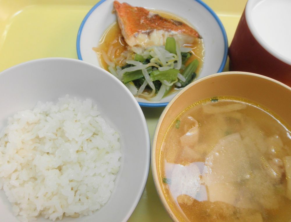 麦ご飯

赤魚の煮付け

ゆで野菜

豚汁

牛乳

