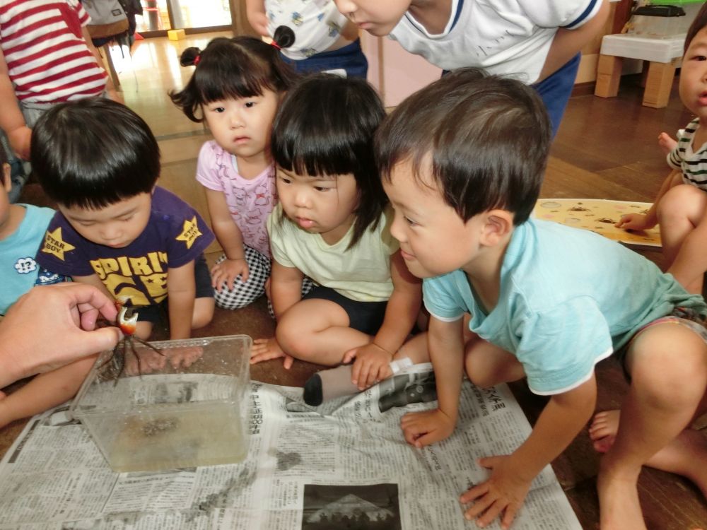 リス組さんに 新しいお友達♡
「カニだ~!!!」
カニを見るのが、初めての子も・・・