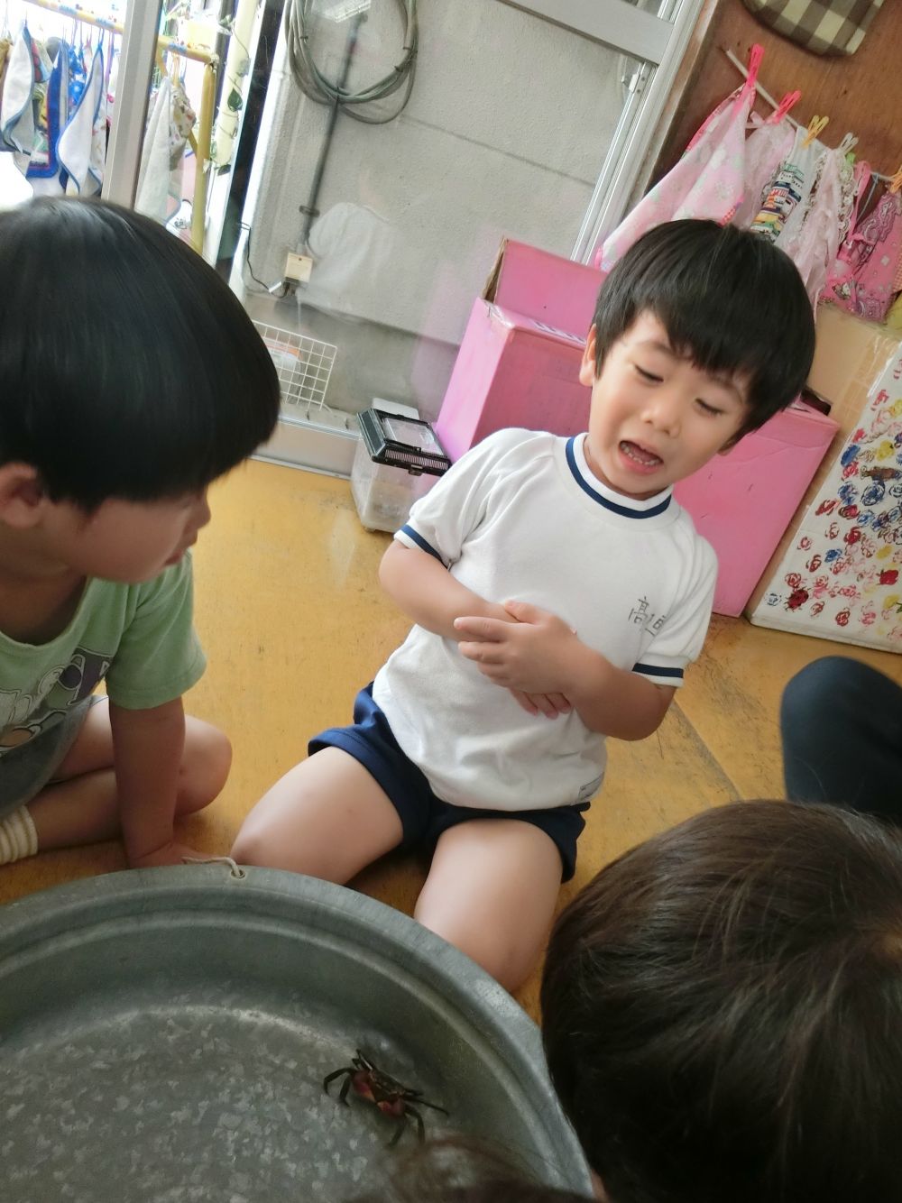 ぼくも、もってみたい!!
捕まりたくないカニも応戦です。
「うわっ!!」
びっくり表情のSくん
じっくり・・・そっと・・・・
この後、持つことが出来ました♪