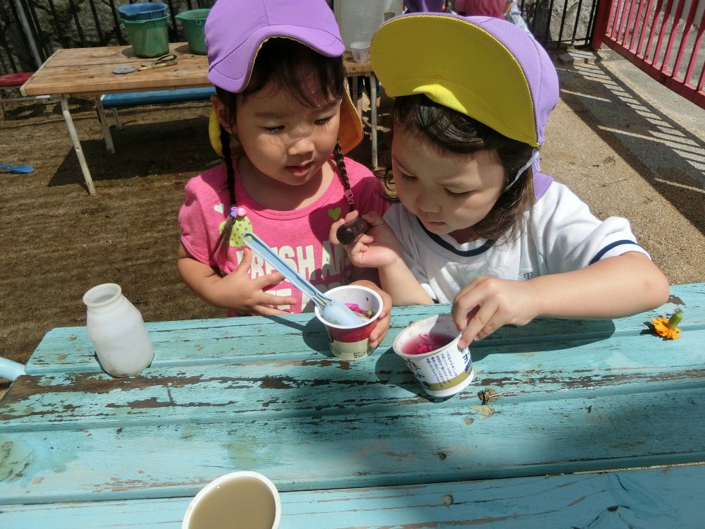 園庭で今、人気の遊びは・・・
『色水あそび』
朝顔の数は少なくなり
それに気付いて家からお花を持ってくる子も増えてきました。
わたしの色の方がきれい☆?
お友達の色水を見て、花の量を増やしたり・・・
仲良く透明コップにいれて
「ジュースどうぞ!」
お店屋さんごっこしたり・・・