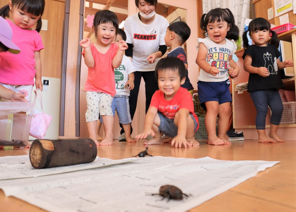 “　はじめまして　かぶとむし　”

リス組さんが、かぶとむしをクマ組さんに見せてくれました
かぶとむしが動くと・・　下がるクマ組さん
この距離感がちょうどいいみたいです♡

