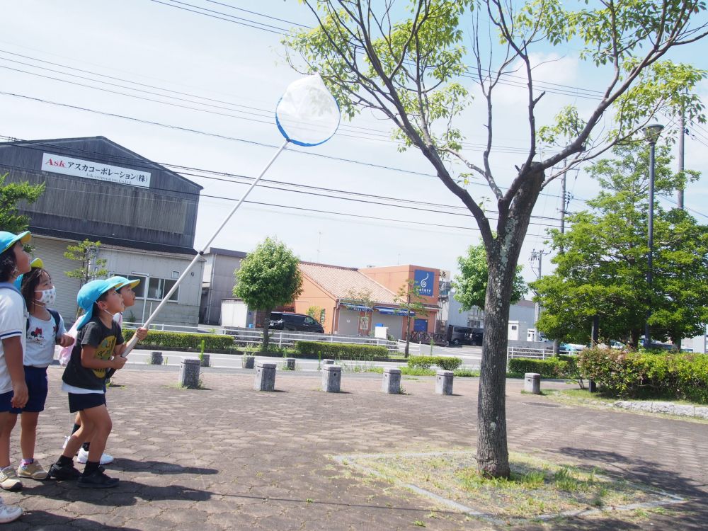 やって来ました、暑い暑い夏！
そんな中、
今、子どもたちの興味、この季節の楽しみは・・・・

「虫取り」
ゆめはうすのもう一つのフィールド、尾道東公園に‥
虫好きなS君、女子の応援を背中にセミ取りに挑戦！

ちなみに、このあと逃げられました・・・