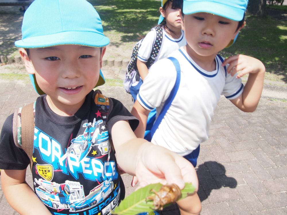 T君はセミの抜け殻を発見！

大事そうにして、家にまで持って帰りました

セミってすごいな・・・
ここまで子どもの心を夢中にさすなんて・・・


でも、大人になったら忘れてしまうのかな・・・・
覚えていてほしいな‥



