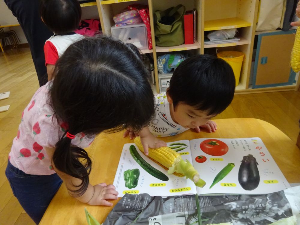 「いっしょね~」
「きいろ!」
絵本に載っているトウモロコシと
比べ・・・
「よいしょっよいしょ!」
給食室まで運んで、給食先生に
「おねがいしましゅ」
食べるまでにこんな過程がありました♪
