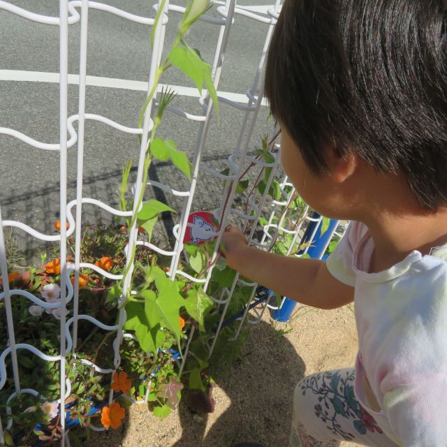 おばけ探し