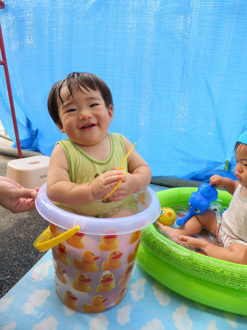 Sくん。
何回、出してもここに入るんだよね～
そんなにバケツが気に入った？

「うん！このフィット感がたまらない♡」
大好きな場所にご満悦✨