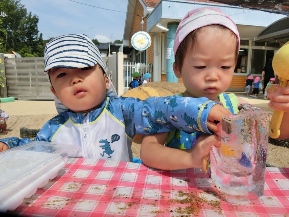 感覚を味わう遊びのひとつ、「氷遊び」
夏の氷遊びは、からだぜーんぶで思い切り楽しめることが魅力！

製氷皿からつまんで取り出したり、大きな氷をさわって、
「つめたーい！」
「つるつるー」
いろんな言葉がでてきます。

