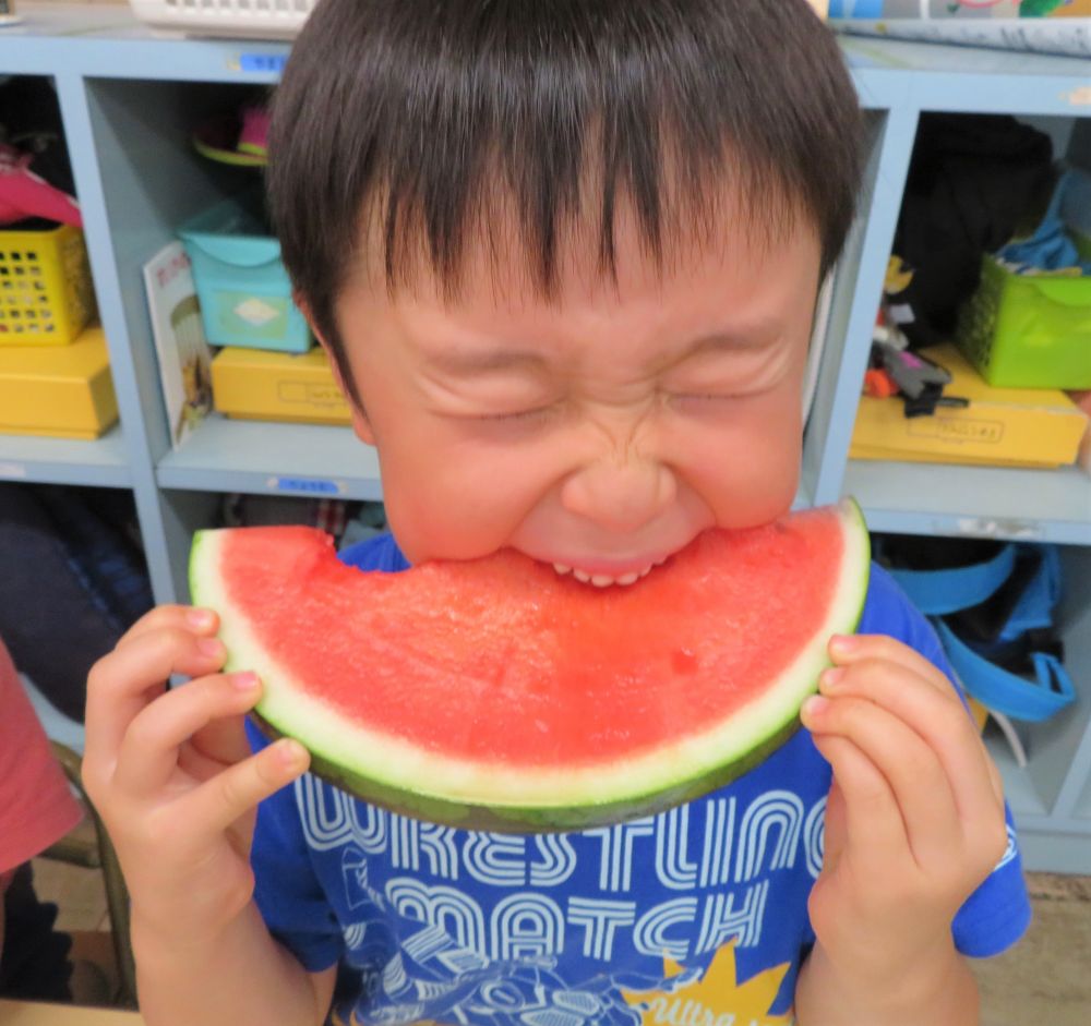 今日は【食育の日】でした。
３時のおやつのすいかを使い、触って、匂って実際に旬の野菜、【すいか】にたくさん触れました。

ゆめはうす認定こども園・門田認定こども園のキリン組さんのすいか実験では
「大きいすいかじゃー！！おもたいから沈むかな・・・」
いろいろな夏野菜を水に浮かべて沈むか、浮かぶか実験をしてみました！
夏野菜の【すいか】は沈んだのでしょうか・・・♡

各園、各クラスいろいろな食育を経験しました。
９月の食育だよりでも紹介しますので楽しみにしてくださいね♡