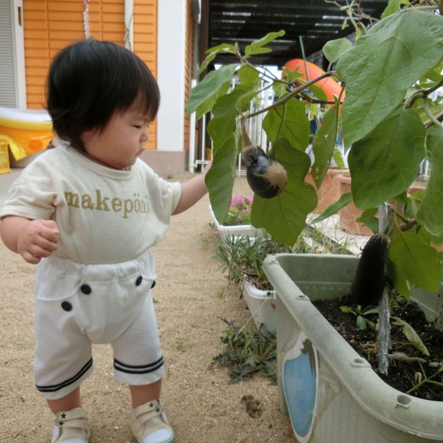 ０歳児さん・・園庭遊び（　＾ｏ＾