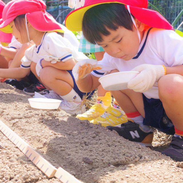 ＊　4歳児　菜園活動（つちグループ）　＊