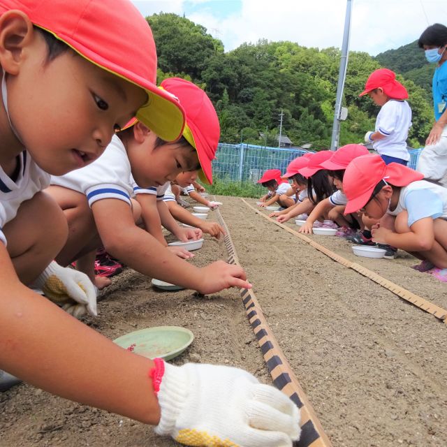 ＊　４歳児　菜園活動　（みずグループ）