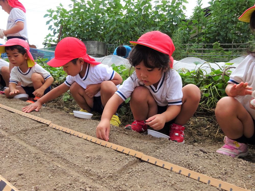 大根の種は茶色くて小さい種なので、軍手だと少し難しい様子です・・・

でも真剣な顔で

「大きな大きな大根になってよー！」
と、声かけをする姿も見られとっても微笑ましく、初めての活動でしたがみんな上手に種を植えることが出来ました。