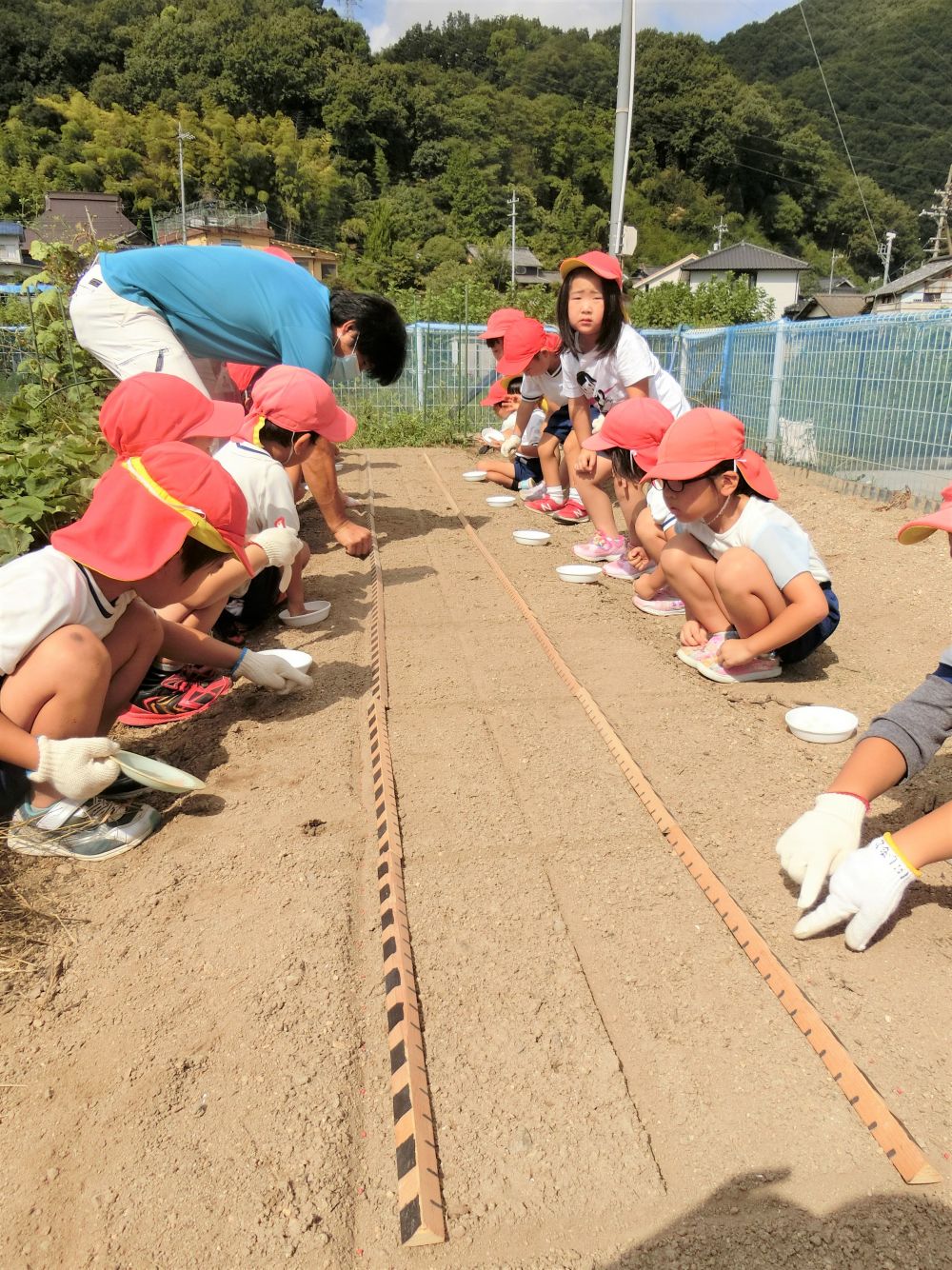 収穫は２ヶ月後の１１月頃の予定にしています。
みんなが愛情込めて植えた大根が大きく育ちますように♡

冬が待ち遠しいね・・・☆