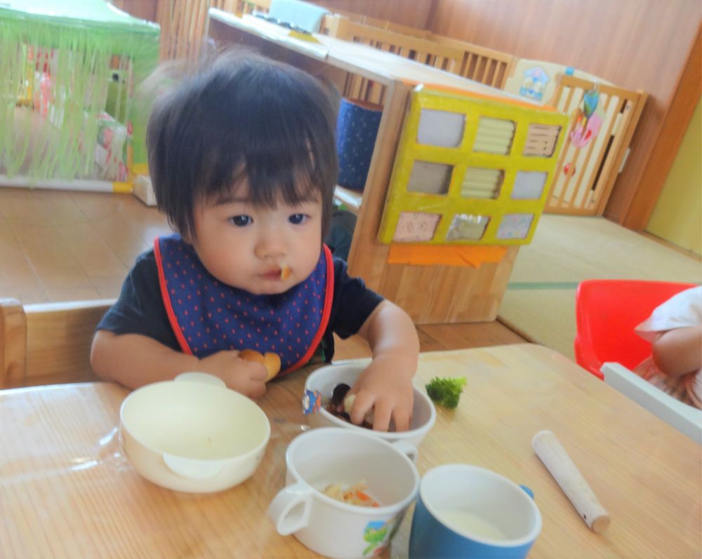 ウサギ組さんの給食時間の様子。
ゆったり落ち着いた雰囲気の中で、子ども達が安心して食べられるよう心がけています。

食べることが大好きなウサギ組のみんな♡
最近、離乳食を卒業し普通食を食べるようになったＫくん。
「食べたい！」の気持ちが大きくて・・・
お口に一口入っているけど・・・左手にパン、さらに右手にお肉を掴もうとしています
食べる意欲があり、自分でがんばって食べようとする姿、ステキです♡
一度にたくさん口に入れないように、見守ります。
しっかり『もぐもぐ』『ごっくん』しようね♪