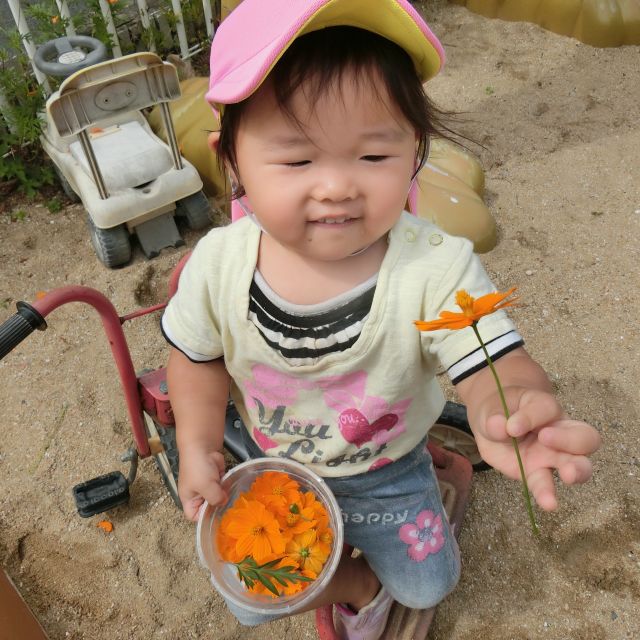 園庭の自然物・・