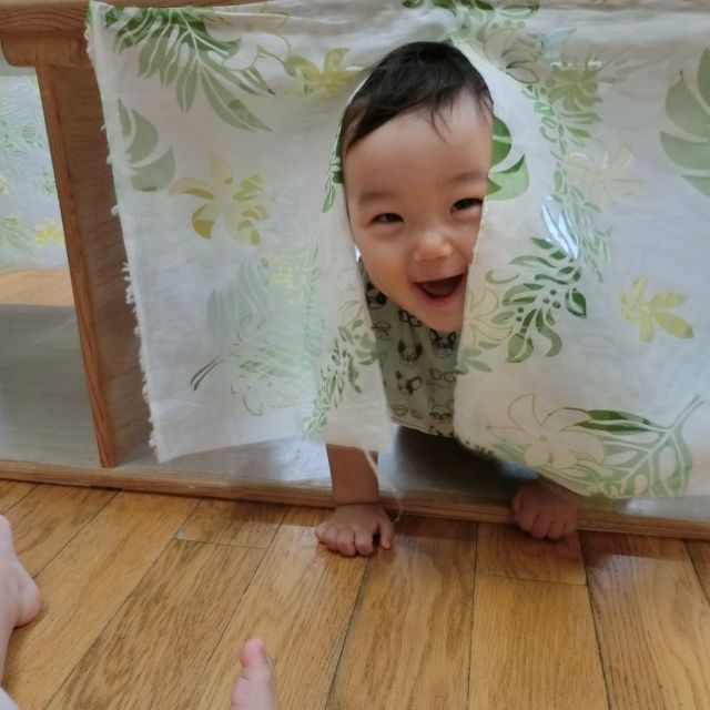 かわいい姿いっぱいのウサギぐみさん