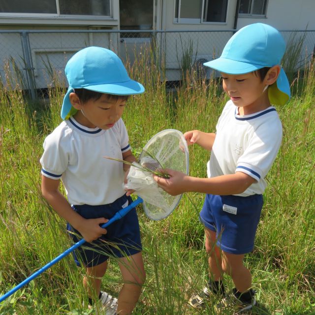 ＊　５歳児　お弁当の日　＊