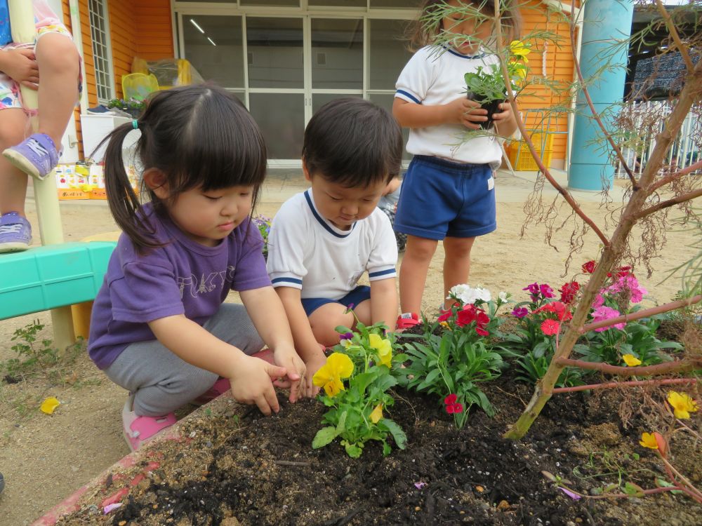 可愛いお花・・落とさないように・・そ~っと・・そ~っと・・・