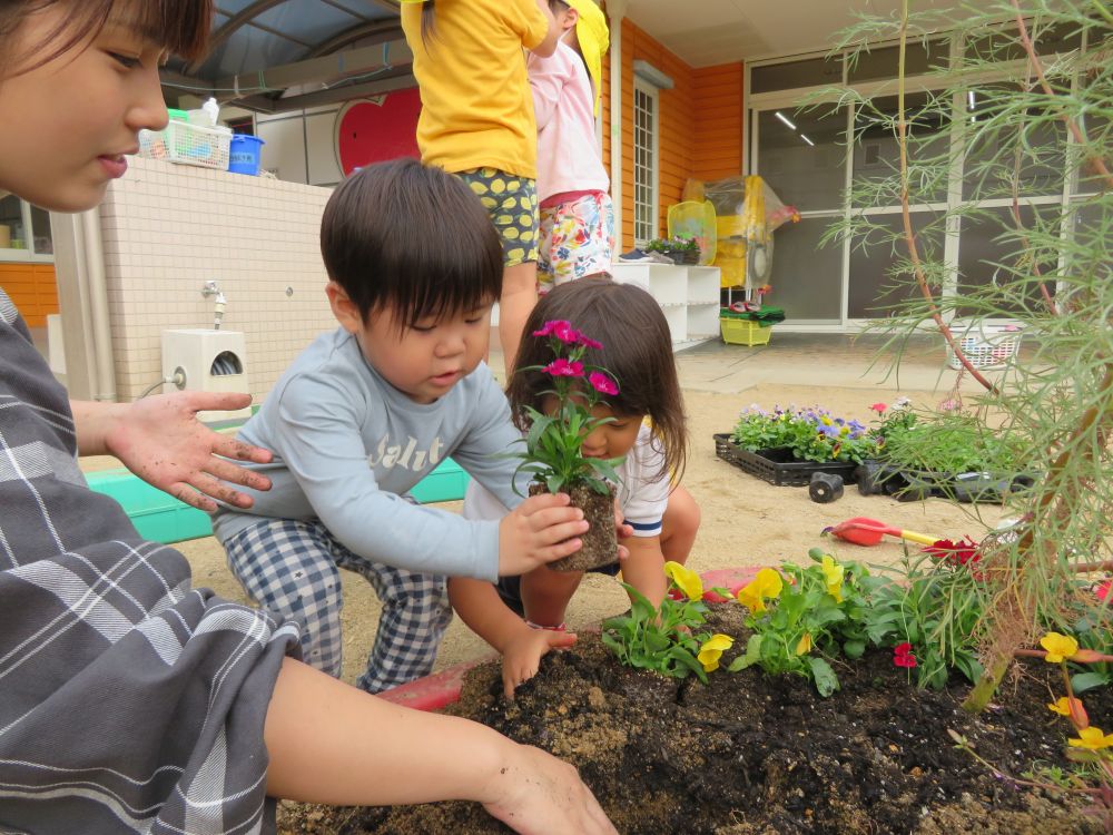 お花のお家は・・え~っと・・ここかな~？？
そ~っと・・上手です✨