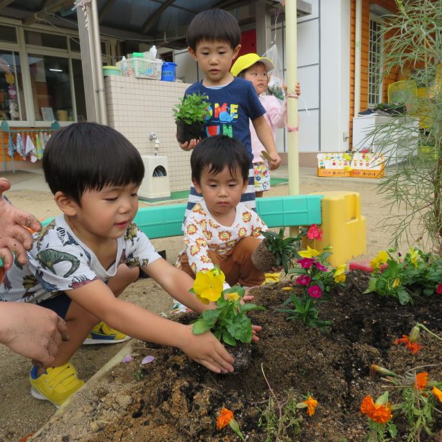 2歳児さん・・花🌼植えしたよ～(･∀･)ｖ