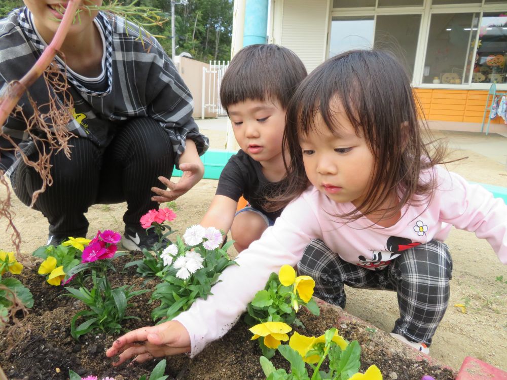 お花のお家に・・ちゃんと・・入ったかな~ﾍ(^o^)/？
お花さ~ん・・大丈夫ですか~＼(^_^)／