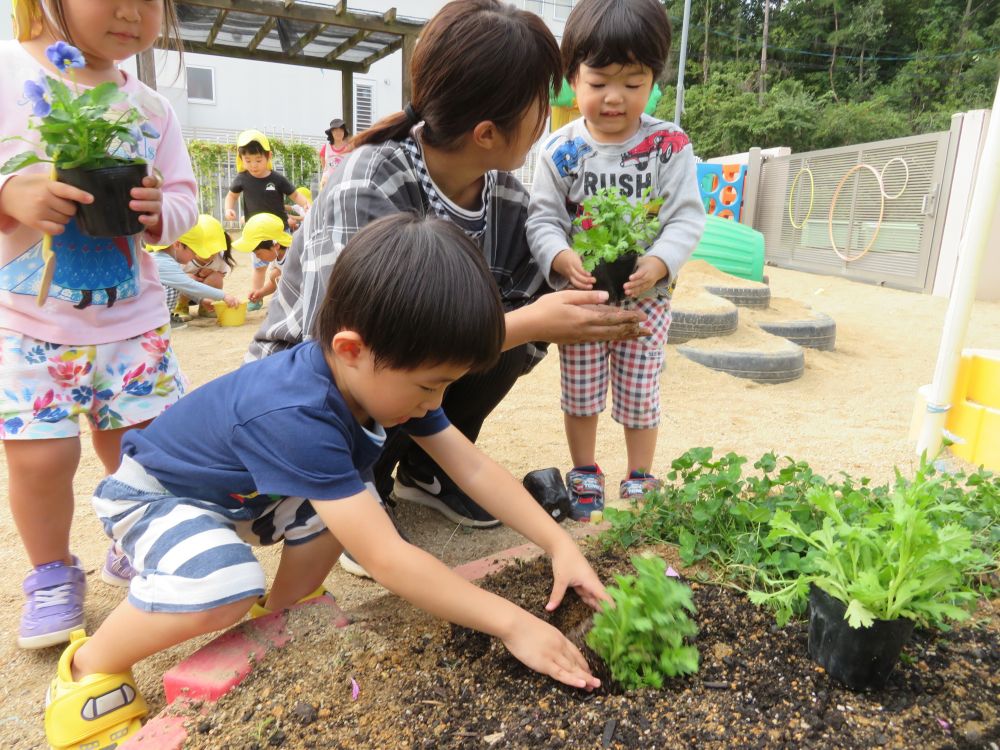 ここのお家に🌼・・入れてあ~げ~よっ！！