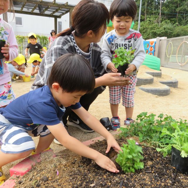 2歳児さん・・花🌼植えしたよ～(･∀･)ｖ