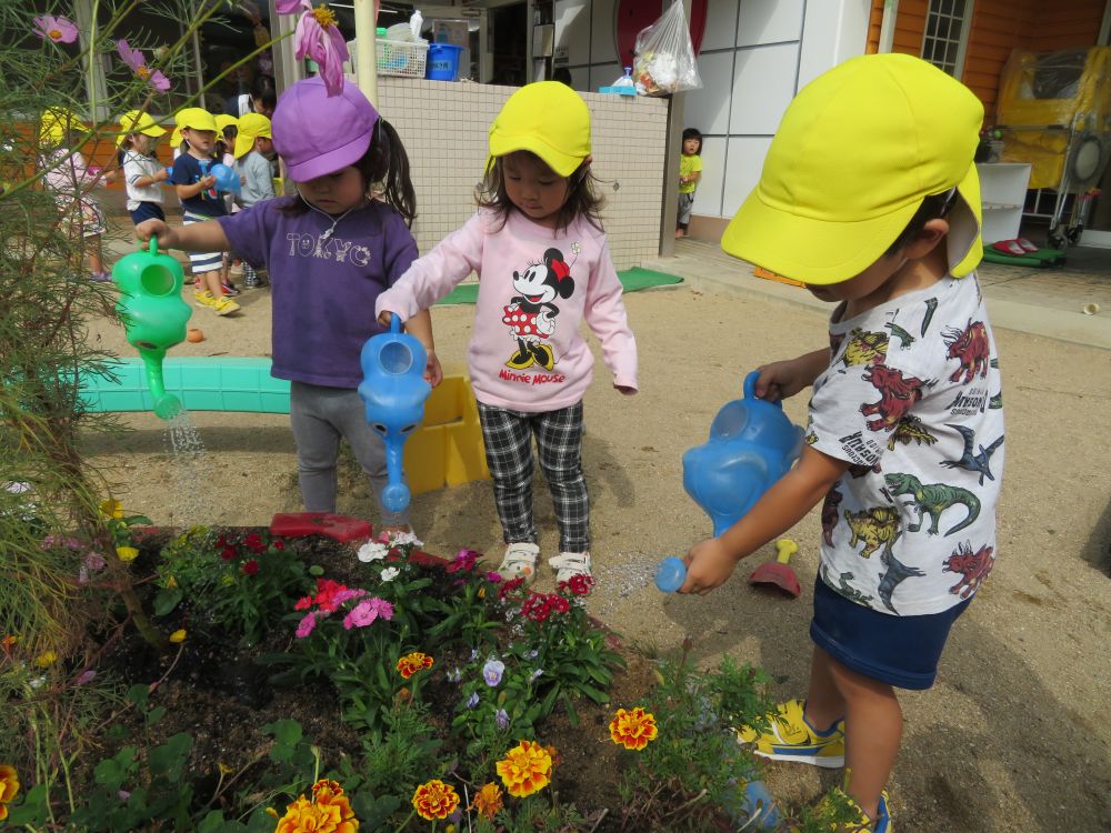 お花にお水・・あげなくっちゃ~( ^o^)ﾉ

