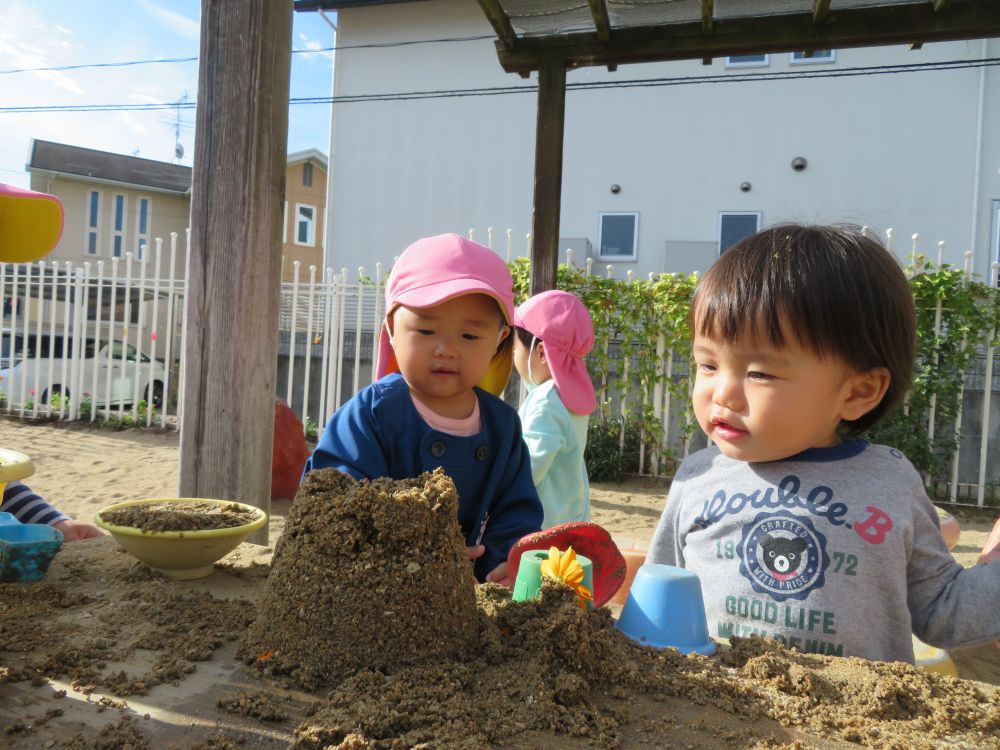 ありゃりゃ~~(゚ロ゚屮)屮
すごいの・・出来ちゃったよ~(^○^)p