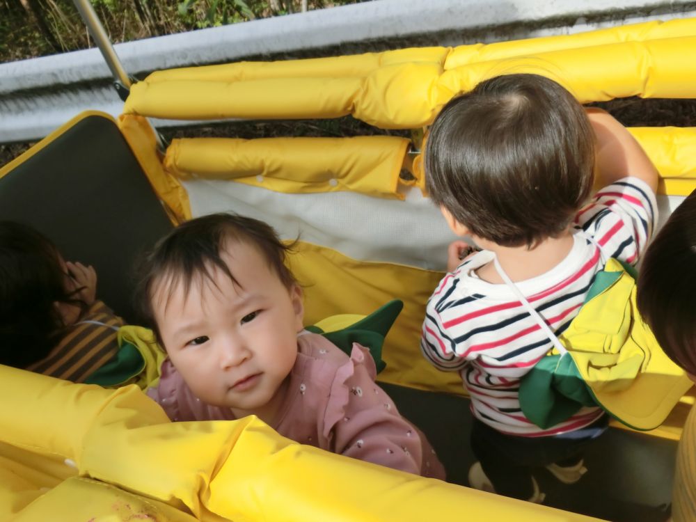 どこに・・行くんだろう・・保育園の外に出るのも・・中々良いもんだな～(･∀･)