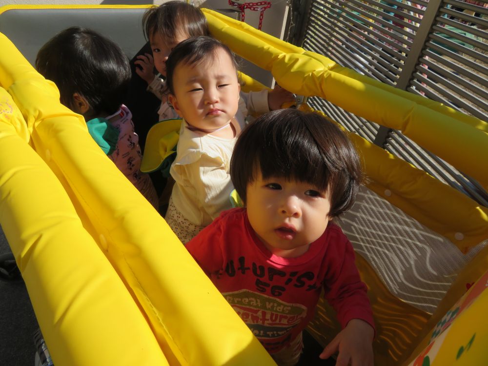 0歳児さん・・今日は天気も良く日差しも暖かかったので・・
お散歩に出ちゃいました（＊＾－＾＊）ｖ
