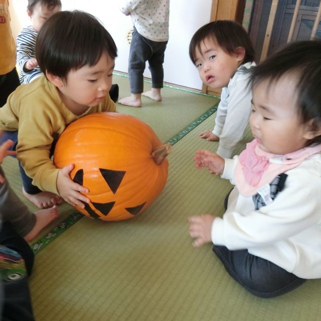 こっこっこれは・・・なんだ～🎃