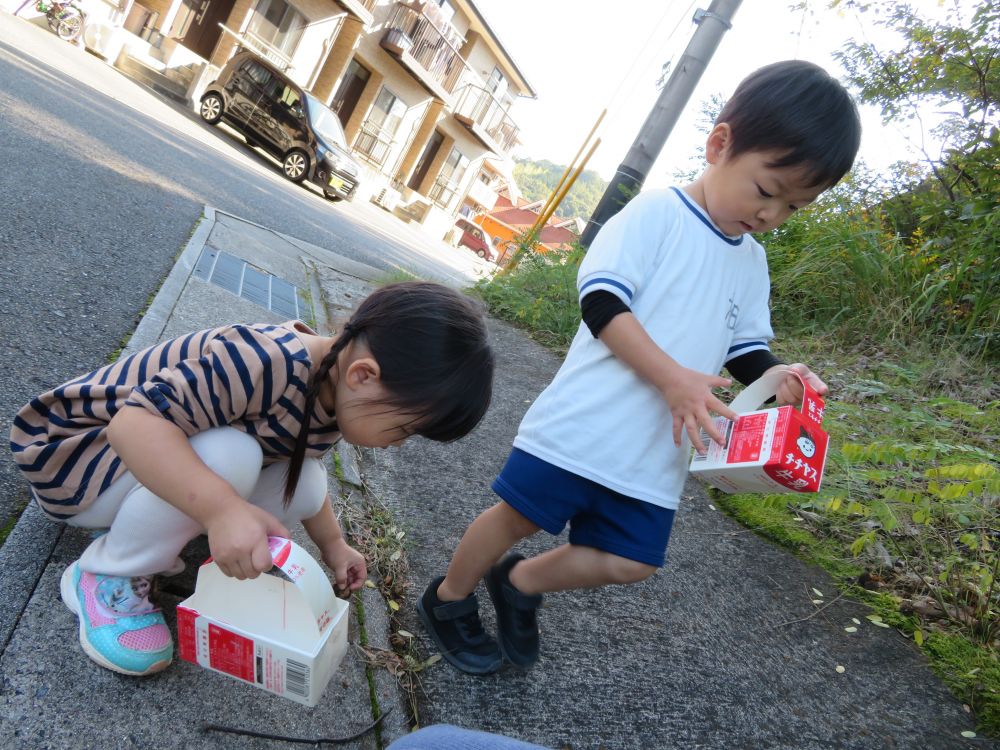 くまぐみさん・・初めてのお散歩🚶
自分の入れ物を持って・・何やら見つけてます（　＾ｏ＾）ノ