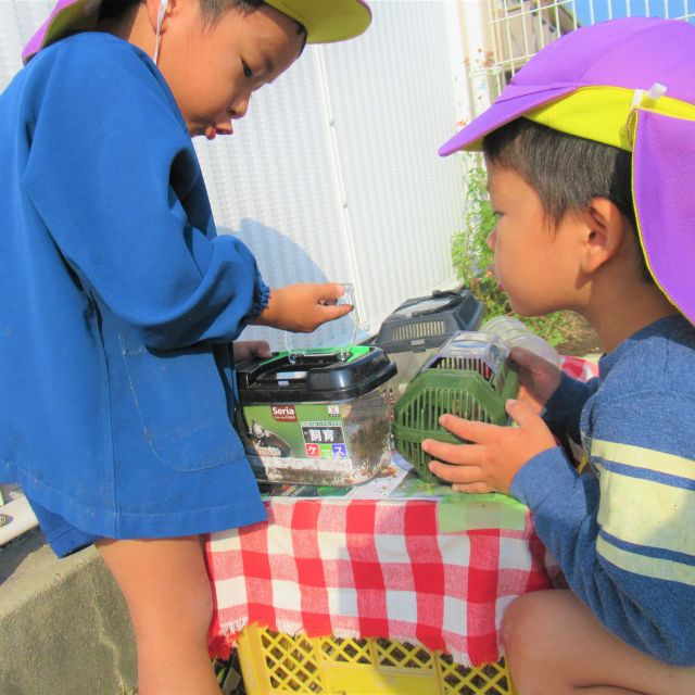 ＊　３歳児　どんぐりむし　＊