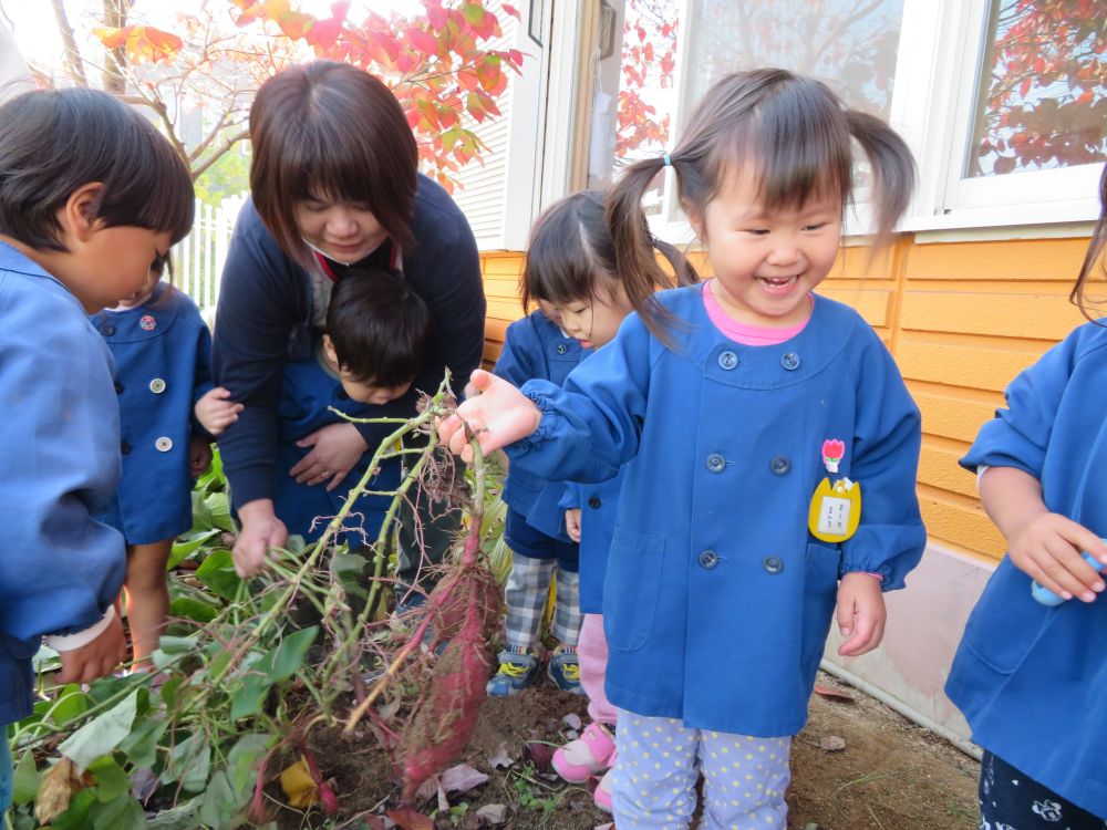 見てみて～大きなお芋✨＼(^O^)／